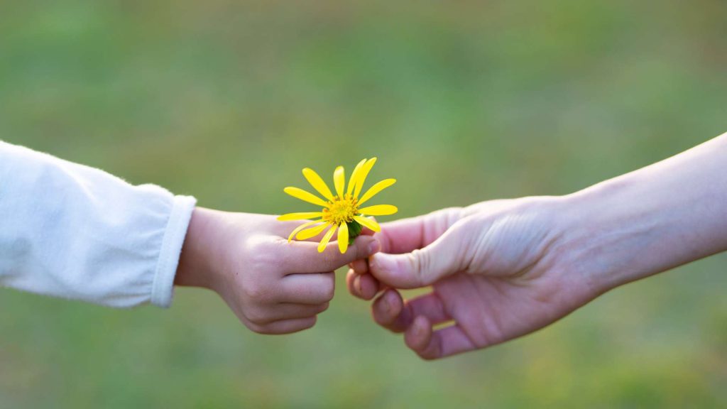 Child Custody And Special Educational Needs What You Need To Know